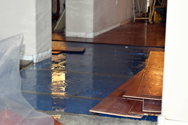 Professional Ceiling Water Damage Repair technician working in Scottville, MI