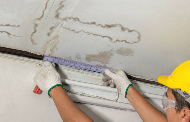 Reliable Ceiling Water Damage Repair contractor in Scottville, MI by Hirex Water Damage